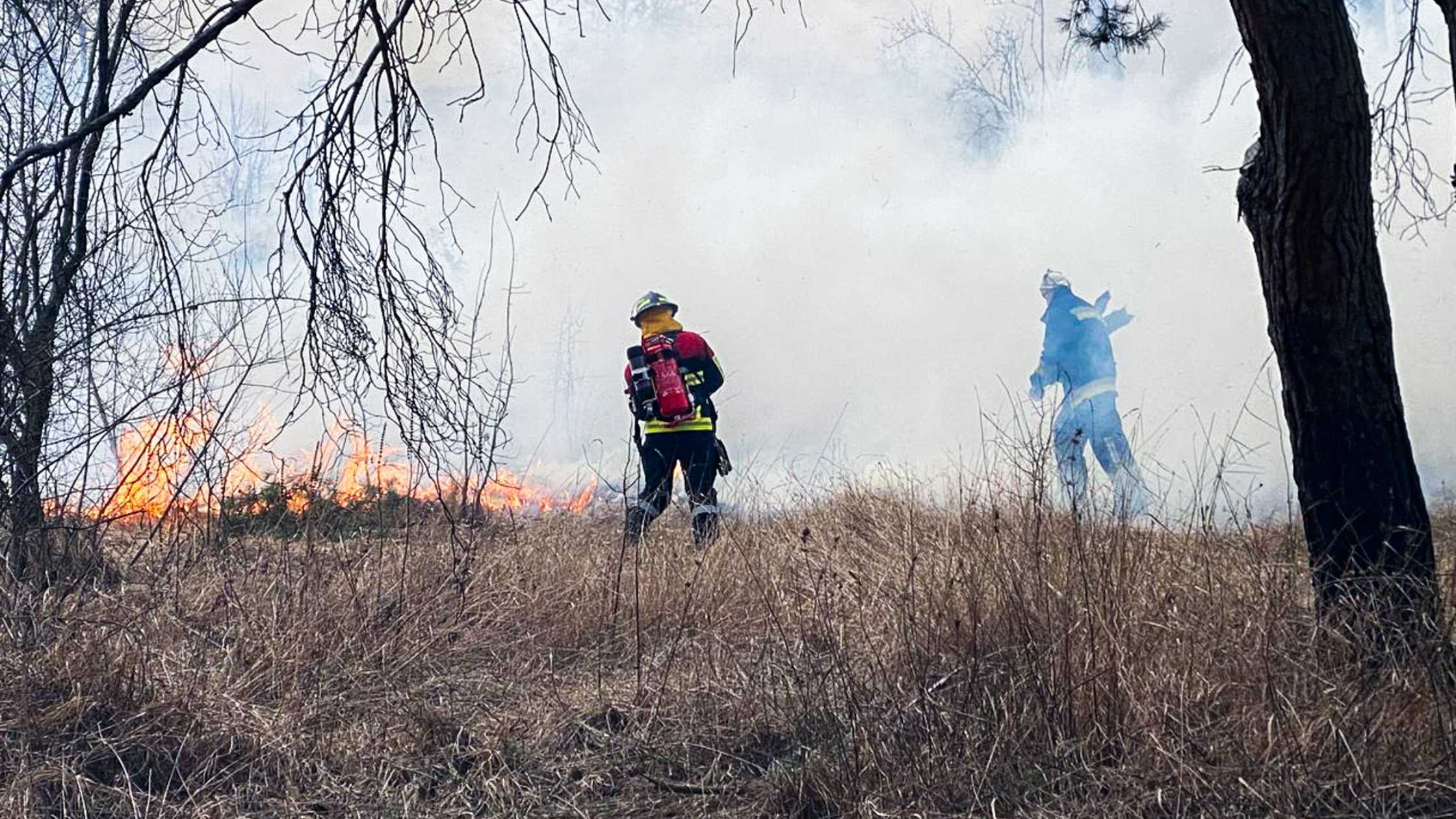 В Гайсинському районі вогонь обпалив майже 17 гектарів землі