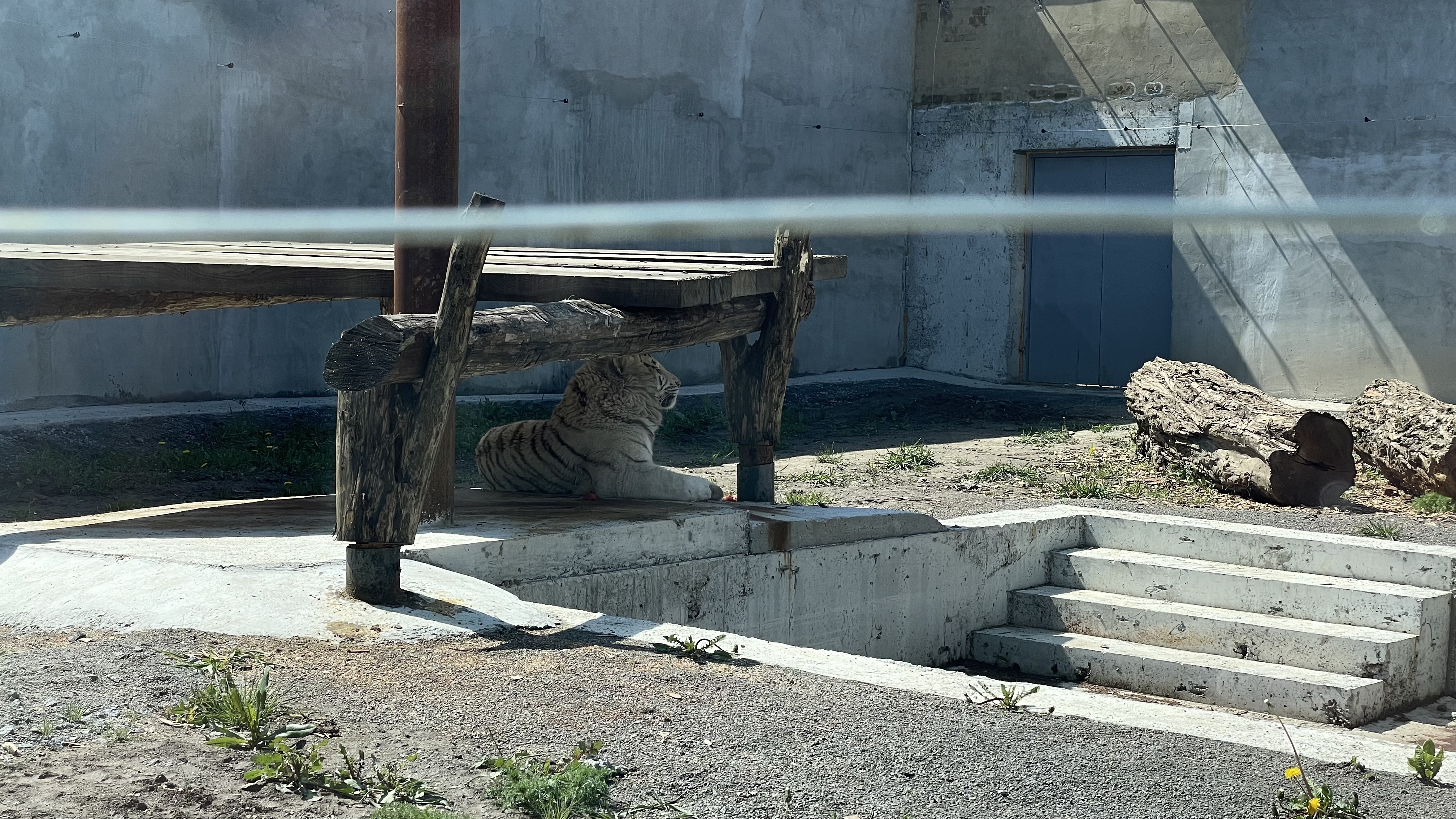 Грайливі мавпочки та поважні хижаки: фоторепортаж з вінницького зоопарку