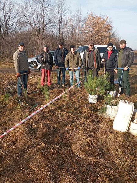 Тульчинські лісівники разом із місцевими жителями озеленюють населені пункти