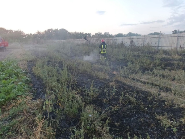 За добу, 13 вересня, на Вінниччині сталося дев'ять пожеж в екосистемах