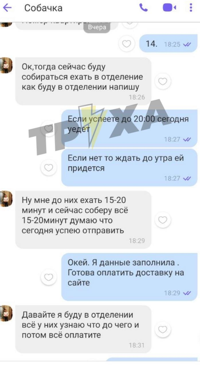 Візьміть собачку в добрі руки: Вінниця фігурує в новому виді шахрайства