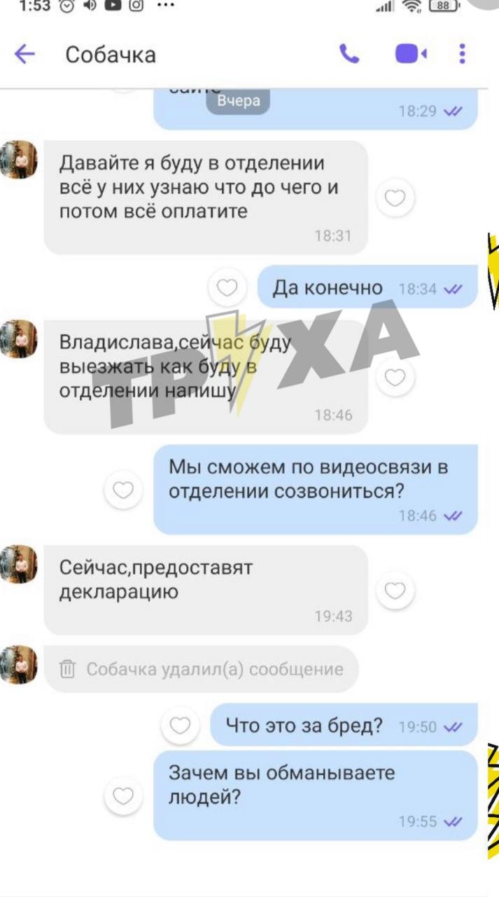 Візьміть собачку в добрі руки: Вінниця фігурує в новому виді шахрайства