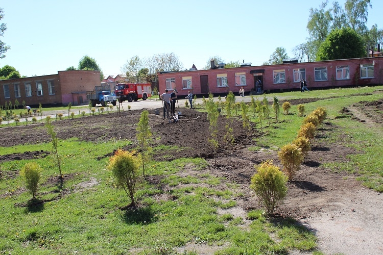 У Калинівці озеленили територію ліцею - висадили понад дві тисячі туй