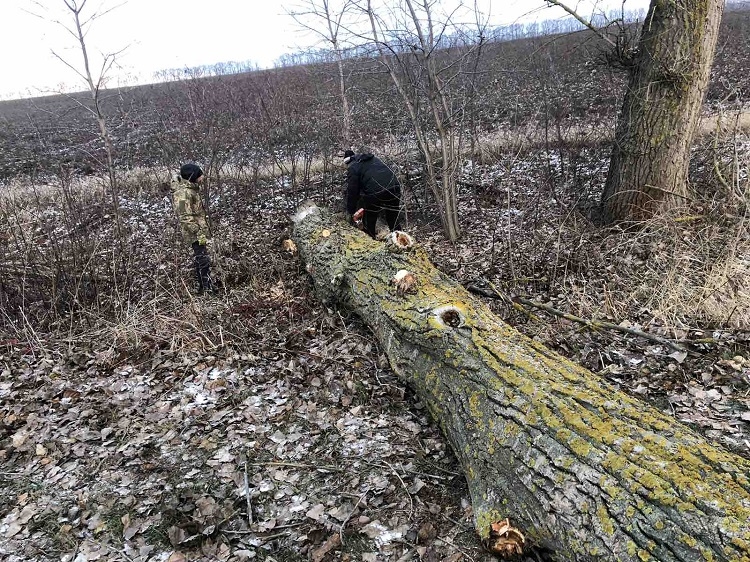 Калинівська громада підготувалась до можливої ожеледиці та снігопаду