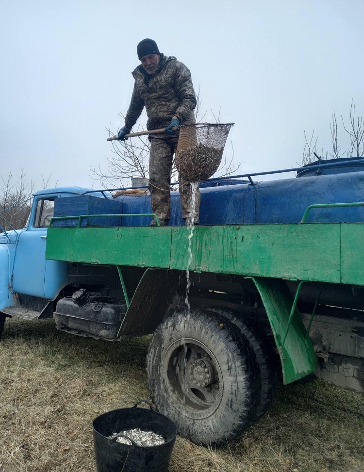 У Калинівці зарибили чотири ставки - випустили понад дві тонни малька