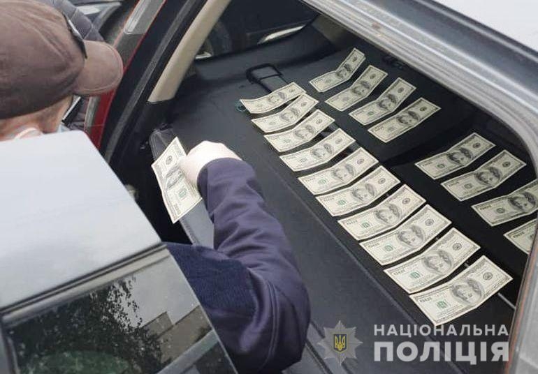 Вінницькі поліцейські завершили розслідування справи «чорних лісорубів»