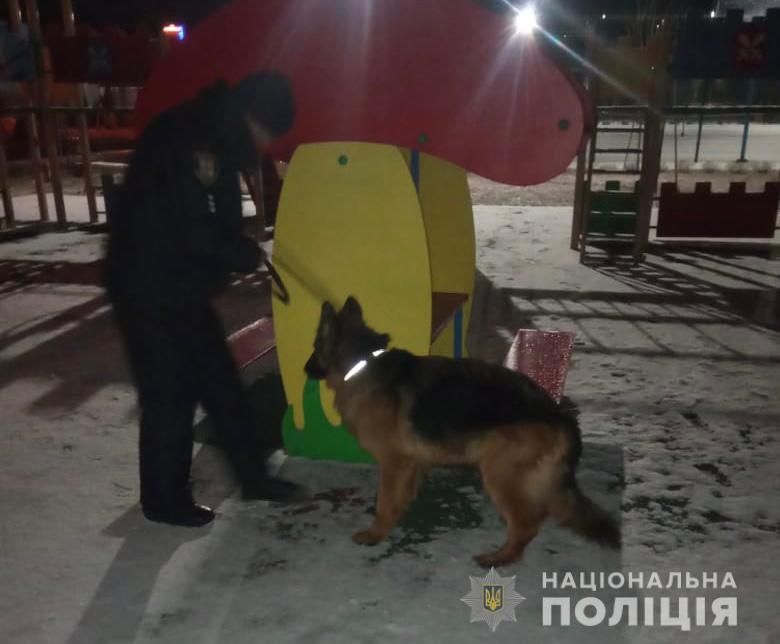 Вибухівки не знайшли у Тростянці повідомили про замінування дитячого центру