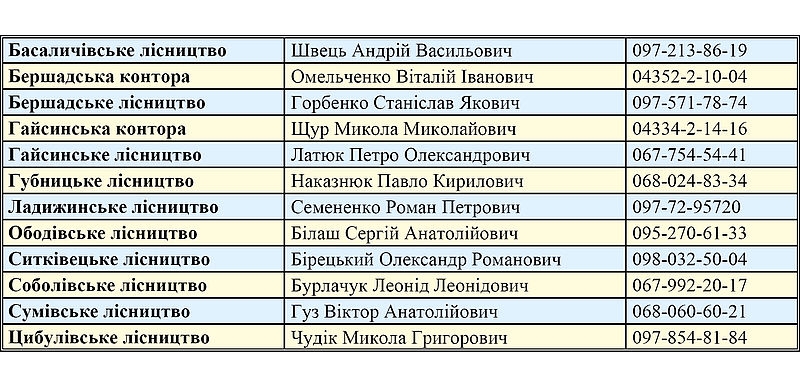 Жителям Вінниччини розповіли, як придбати деревину в держлісгоспах