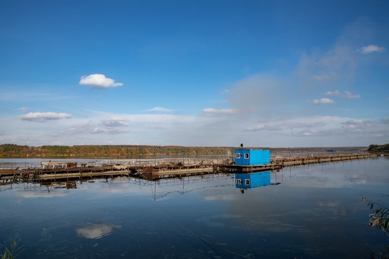 На підприємство МХП не пустили робочу групу Вінницької облради та екологів для перевірки