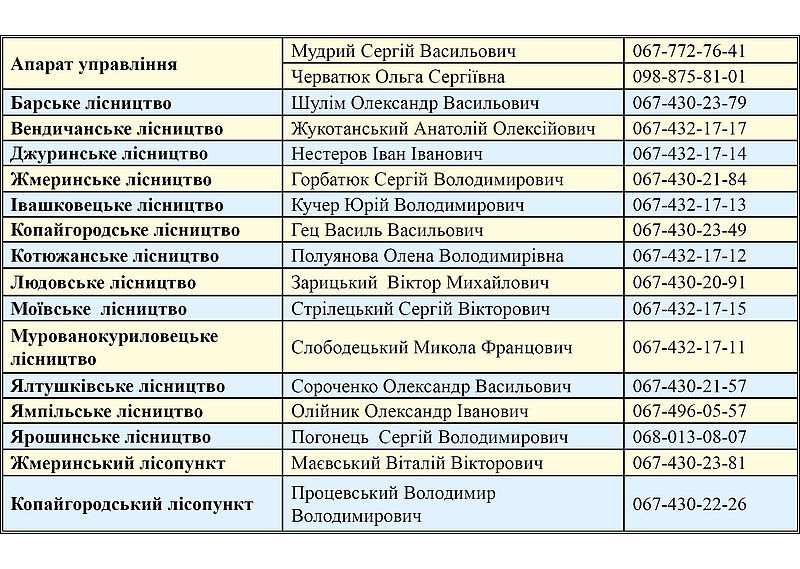 Жителям Вінниччини розповіли, як придбати деревину в держлісгоспах