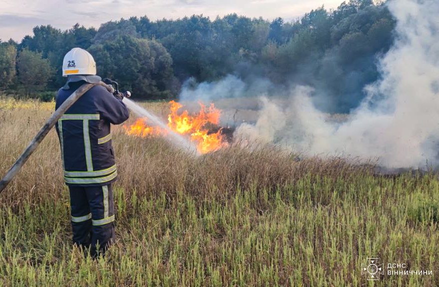 У Гайсинському районі вогонь обпалив ґрунт на площі 2,7 га