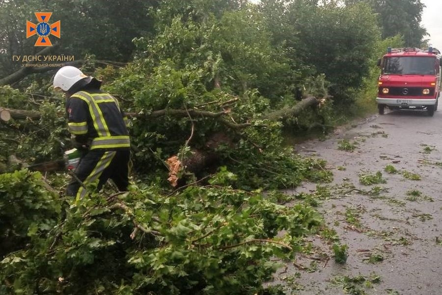 Через негоду на дороги Вінниччини попадали дерева