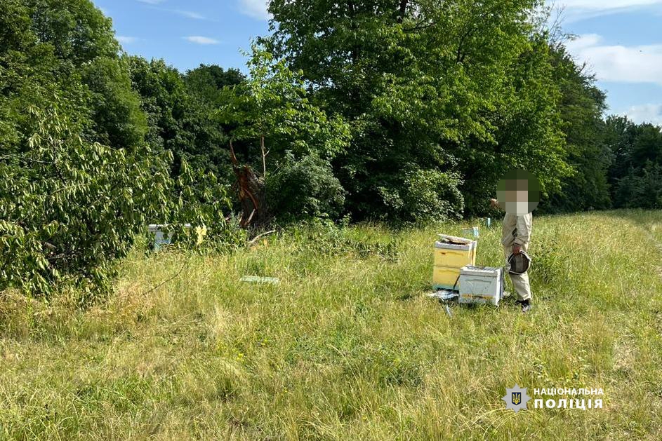 Затримали двох молодиків, які у Жмеринці поцупили вулики з бджолами