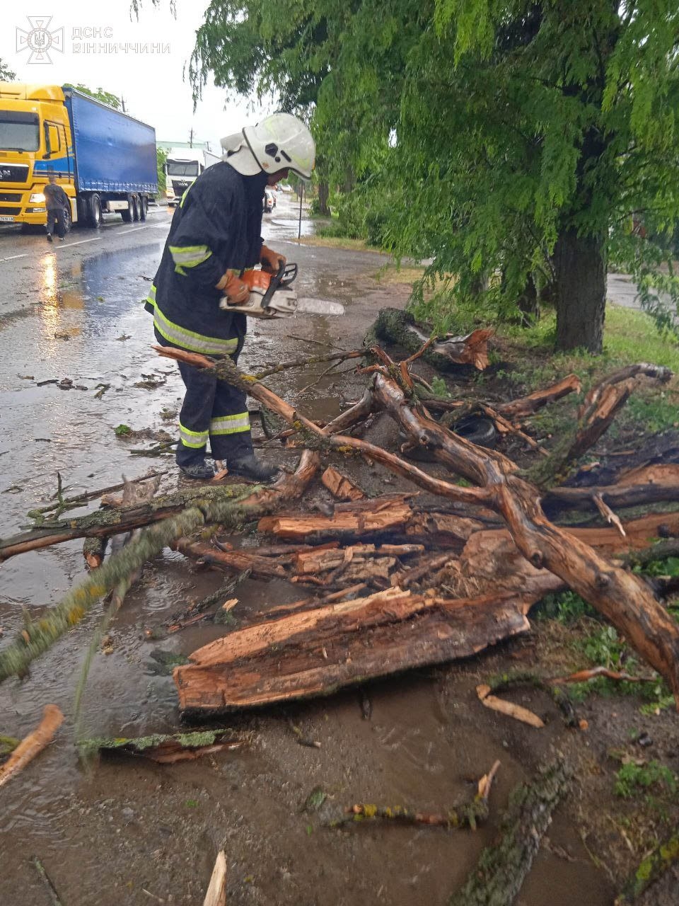 У трьох районах Вінниччини повалені вітром дерева перекрили автошляхи