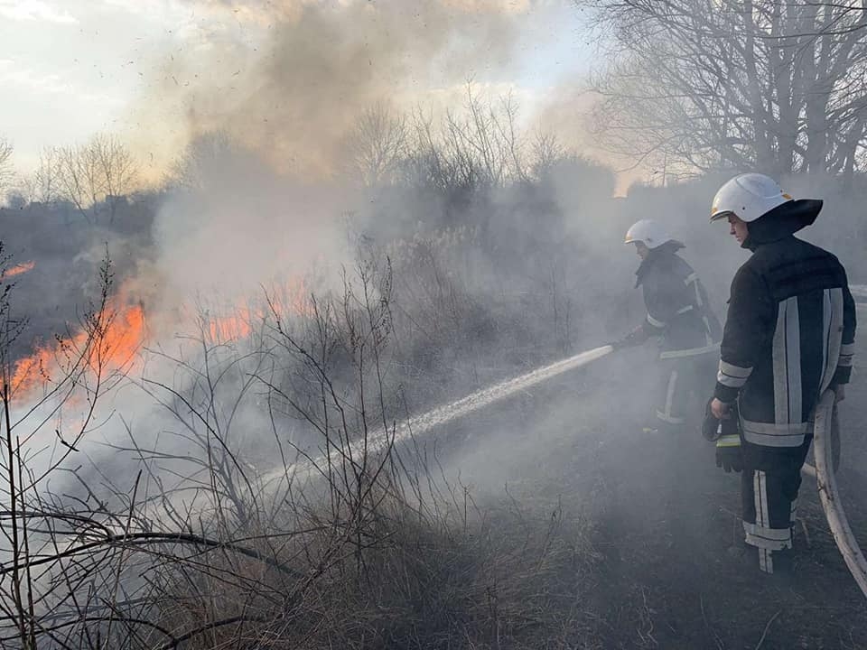 На Вінниччині рятувальники за добу 14 разів гасили пожежі в екосистемах