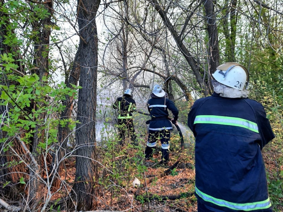 6 пожеж за добу: на Вінниччині майже щодня горять екосистеми